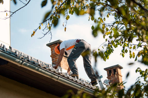Best Roof Leak Repair  in Council Grove, KS